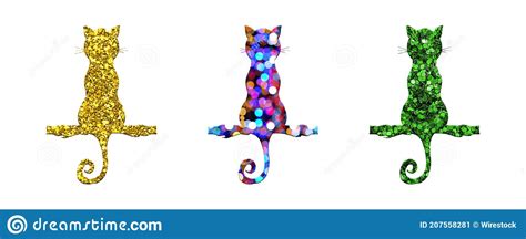 Tres Gatos Con Diferentes Patrones Aislados Sobre Fondo Blanco Imagen