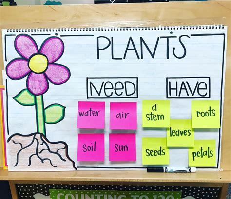 Simple Plants Anchor Chart Plants Anchor Charts Plant Unit