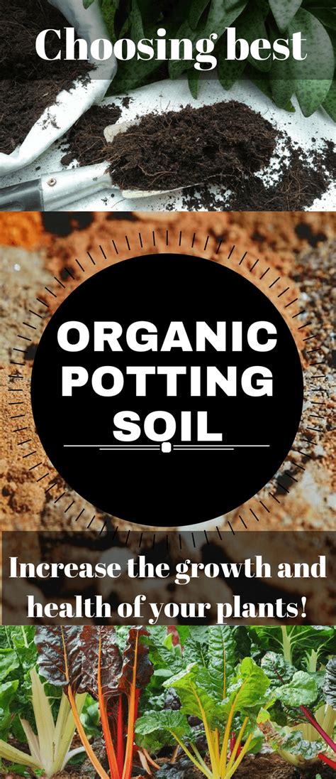 Where to buy good potting soil? Top 10 Best Potting Soil in 2020: Organic, Aeration ...