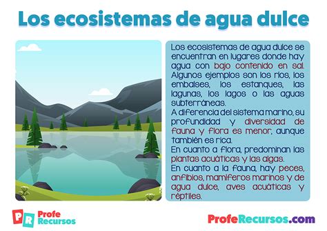 Los Ecosistemas Acu Ticos Ciencias Naturales Recursos Educativos