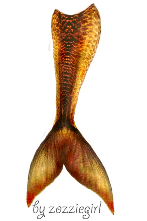 Mermaid Tail Transparent PNG All PNG All
