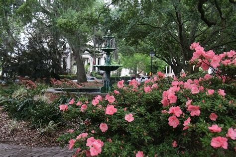 Check spelling or type a new query. Day 2 in Savannah, Part 2 of 3