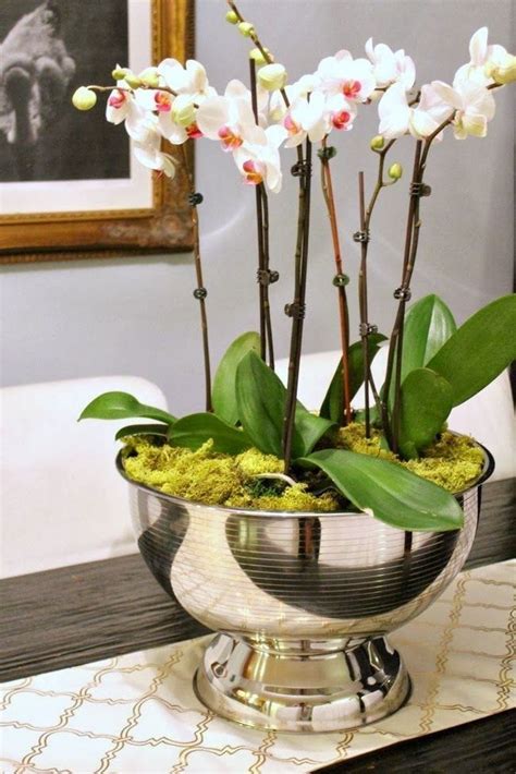 40 Amazing Orchid Arrangements Ideas To Enhanced Your Home Beauty Orchids Arrangement
