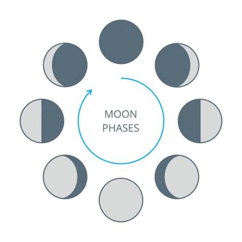 Moon Phases Icons Astronomy Lunar Phases Whole Cycle New Moon Stock