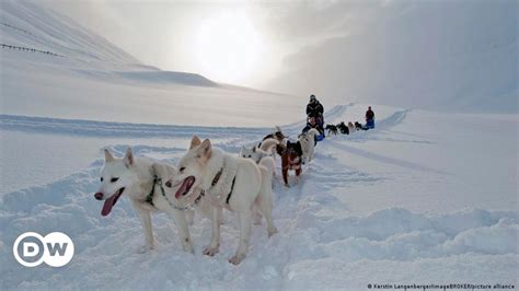 Europes Longest And Toughest Dogsled Race Dw 02242023