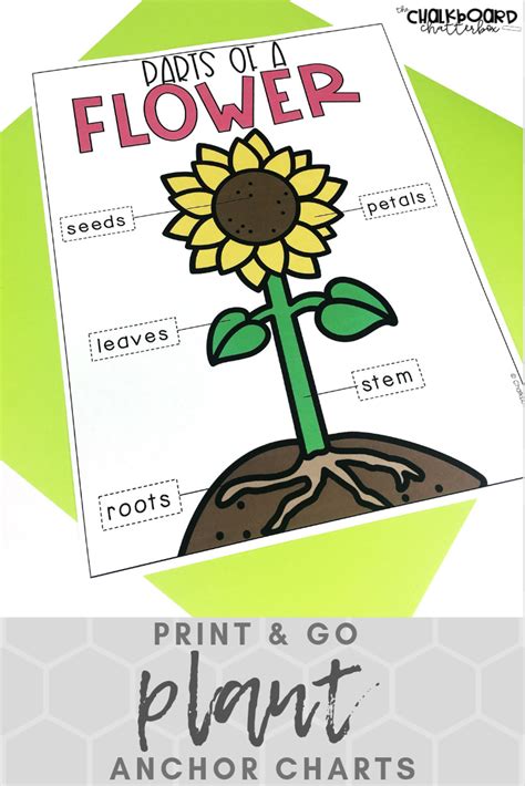 Teachers Are Always Looking For Ways To Save On Time These Print And Go