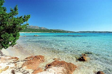 Situato a san teodoro, sulla costa orientale della sardegna, l'hotel il platano sorge a 25 km da olbia e offre camere climatizzate, un le residenze sole offrono semplici appartamenti con ristorazione indipendente, giardino e patio o balcone, tutti ospitati in vari edifici di san teodoro e distanti al. Appartamenti San Teodoro