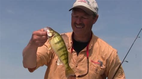 To catch the uncatchable ep19. How to Catch Huge Lake Perch - YouTube