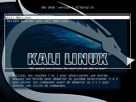How To Repair Kali Linux Grub After Installing Windows In Dual Boot System