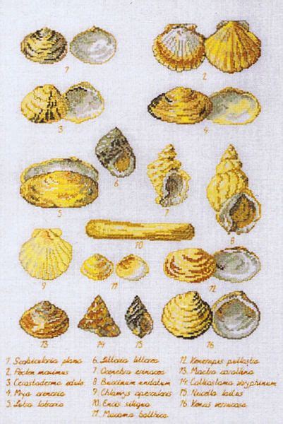 This helps you know how much cloth or fabric you need to complete back in ye olden days when i was learning to cross stitch circa 1988, counted cross stitch patterns all included little clipart directions on how to cross stitch. Sea Shell Sampler - cross stitch kit by Permin of ...