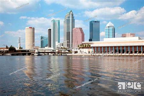 Downtown Tampa Skyline From Davis Islands Stock Photo Picture And