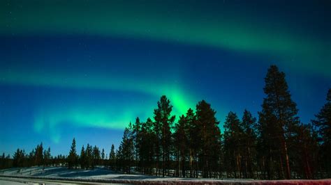 Download Wallpaper 2560x1440 Northern Lights Aurora Trees Light