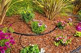 Home Depot Garden Watering System Images
