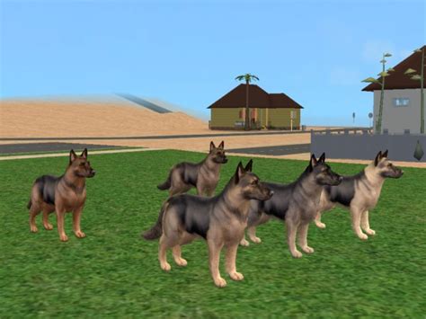 Mod The Sims The Amazing German Shepherd My Favorite Breed 5