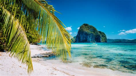 Caribbean Beach Zoom Background Templates Postermywall Images And