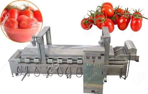Continuous Tomato Hot Water Blanching Machine