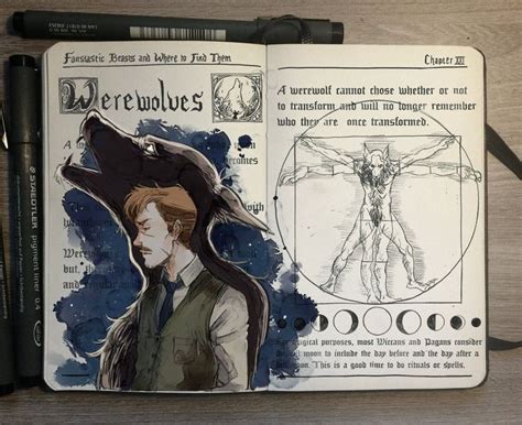 Remus Lupin Fantastic Beasts Harry Potter Illustrations Harry