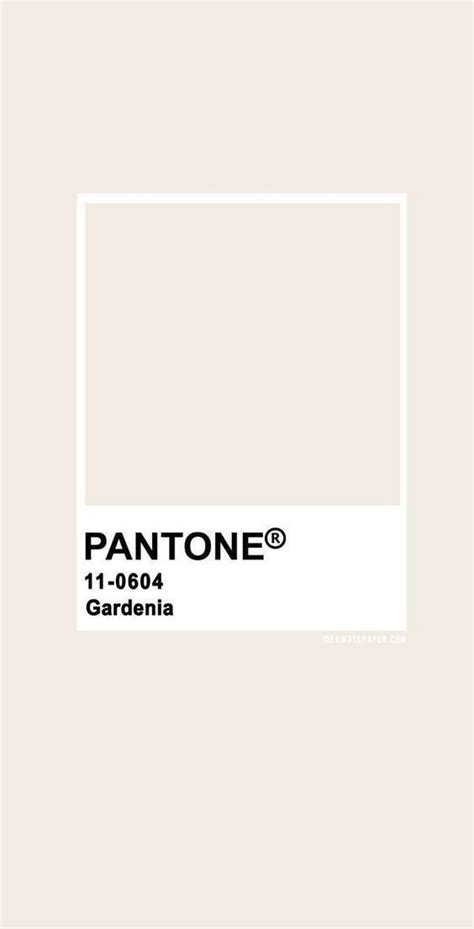 Pin On Pantone