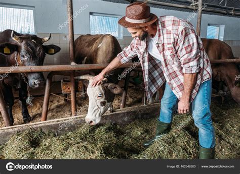 Agricultor Do Sexo Masculino Alimentando Vacas Fotos Imagens De © Sashakhalabuzar 162346200