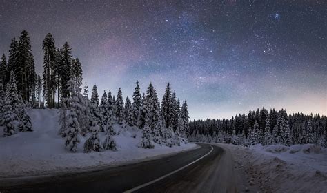 Filewinter Night At Pokljuka Forest Wikimedia Commons