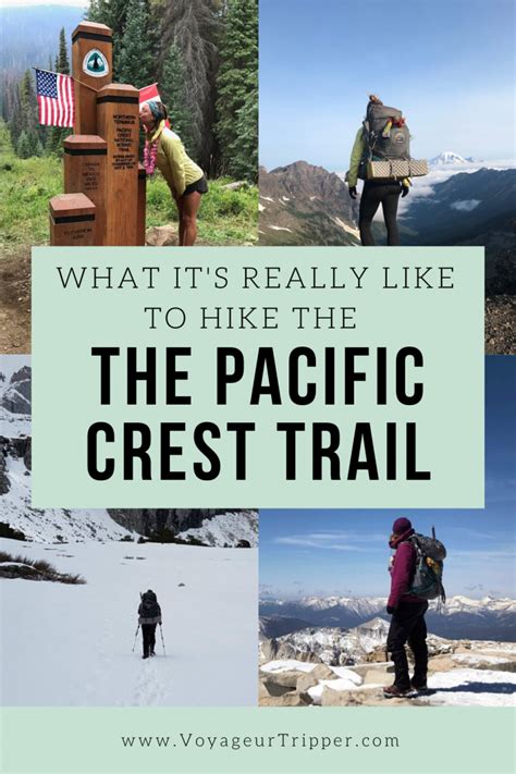 What Is It Really Like To Hike The Pacific Crest Trail Voyageur