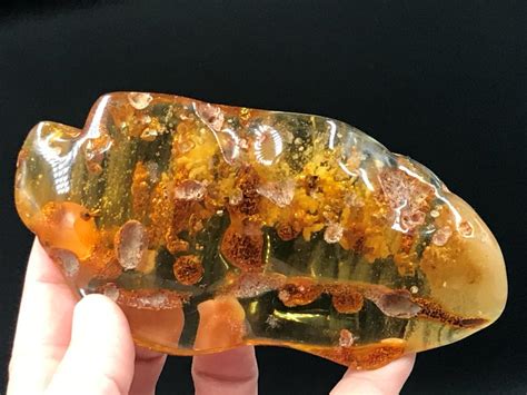 Amber Fossil Natural Collectible Specimen