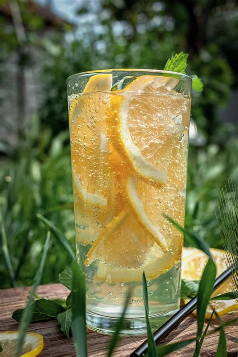 A Cool Refreshing Drink With Lemon On Nature On A Hot Day Stock Image