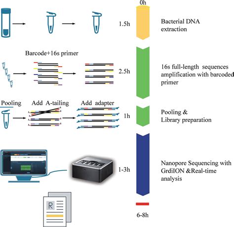 Nanopore Takes Over 16s Rrna Gene Amplicon Sequencing