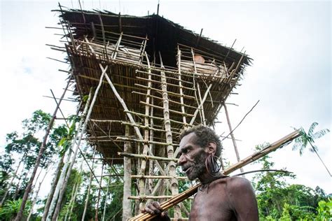 Mengenal Suku Korowai Di Papua Selatan Hidup Di Pohon Menjunjung