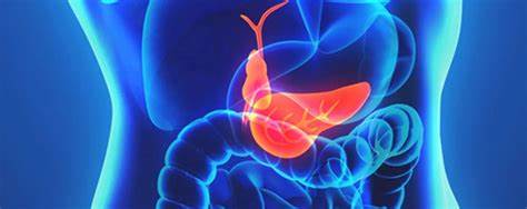 Желчекаменная болезнь - причины возникновения, симптомы, виды лечения Картинка - Желчекаменная болезнь - причины возникновения, симптомы, виды лечения