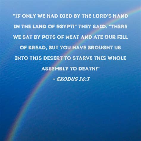 Exodus 163 If Only We Had Died By The Lords Hand In The Land Of