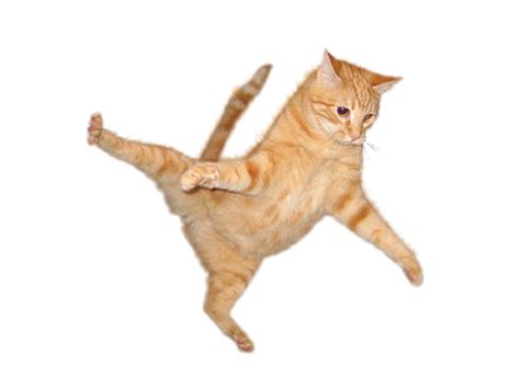 Cats Png Image Png Mart