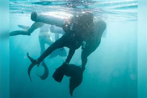 Come See How This Drowning Scuba Diver Was Rescued By Mermaids Not