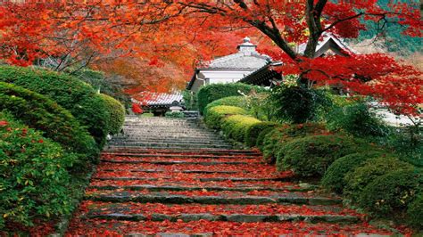 A collection of the top 70 japan 4k wallpapers and backgrounds available for download for free. Japanese Fall Garden Steps HD Japanese Wallpapers | HD Wallpapers | ID #63868