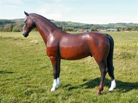 They were treated as more than just vehicles, they were companions who helped the humans and made their lives that much easier. Life Size Model Horse- for what I'm not sure. | Horses ...