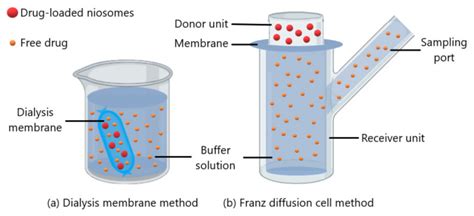 Schematic Representation Of A Dialysis Membrane Method And B Franz