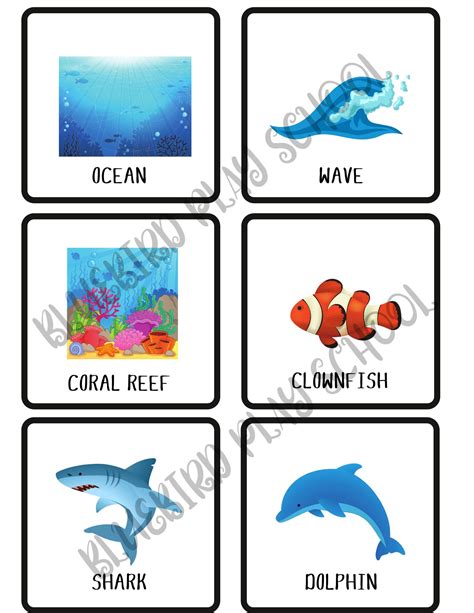 Ocean Theme Visual Flashcards Daycare Circle Time Language Etsy