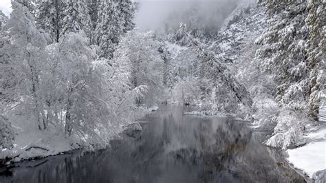 River Trees Snow Winter Landscape 4k Hd Wallpaper