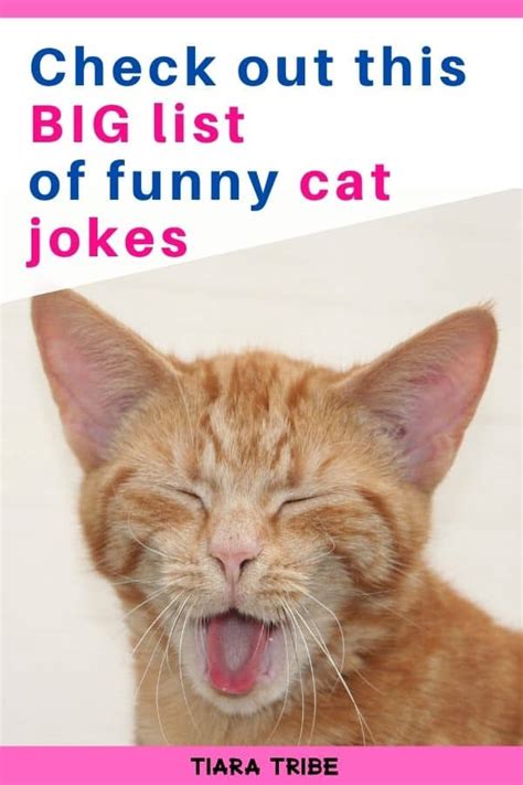 Cat Jokes That Are So Funny You Ll Be Feline Pawsome Cat Jokes Hot