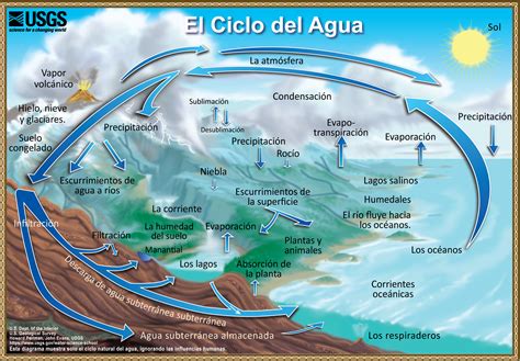 Ciclo Del Agua O Ciclo Hidrologico Fases De La Hidrosfera Images