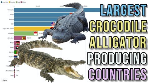 Largest Crocodile Alligator Producing Countries Youtube