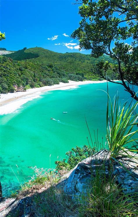 Beaches In New Zealand Swim Guide