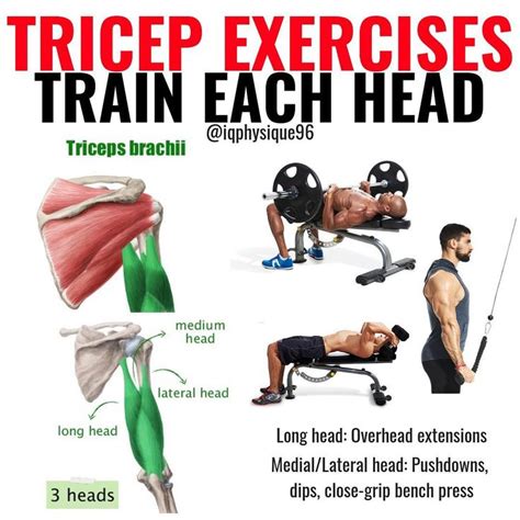 Triceps Workout 3 Superset Workout Routine For Killer Triceps