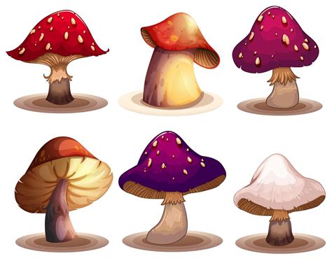 A Set Of Colourful Mushroom 359476 Vector Art At Vecteezy