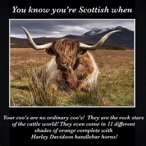 You Know You Re Scottish Scottish Scotland History Scottish Heritage