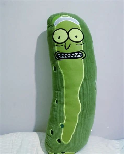 Rick And Mortys Pickle Rick Plushie Hobbies And Toys Toys And Games On