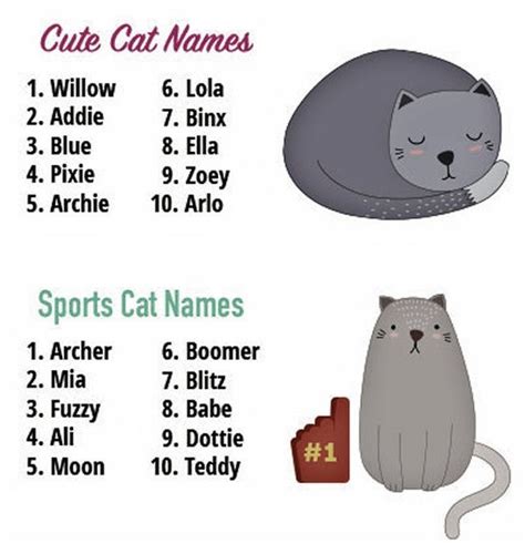 Do Cats Recognize Their Names Lovecats World