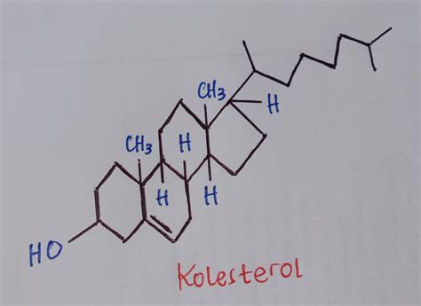 Behandlung zur umkehrung der bleibenden schädigungen im gehirn. Keanekaragaman Struktur Kimia Steroid