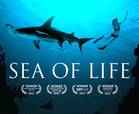 Movie Review Sea Of Life