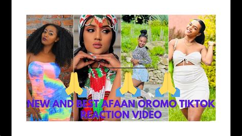 New Afaan Oromoo Tiktok Video 2023 Best Ethiopian Afaan Oromoo Tiktok